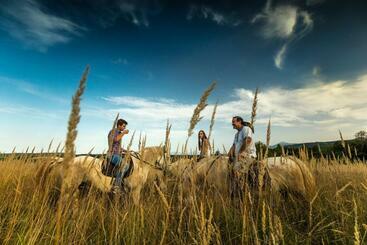 ペンション Ranch Terra