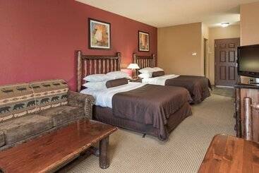 استراحتگاه Wilderness At The Smokies   Stone Hill Lodge