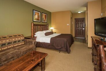 استراحتگاه Wilderness At The Smokies   Stone Hill Lodge
