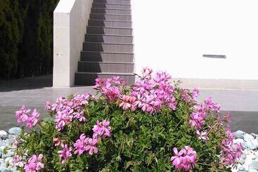 B&b Resort Torrefano