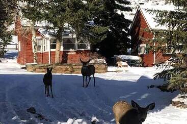 Colorado Cottages