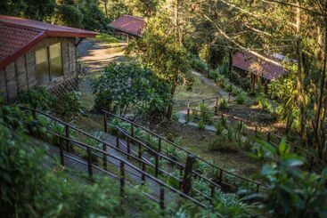 בית מלון כפרי Paraíso Quetzal Lodge