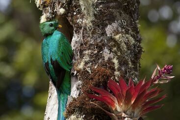 هتل Paraíso Quetzal Lodge
