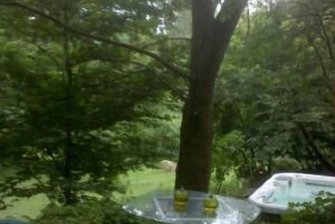 پانسیون Chestnut Lodge