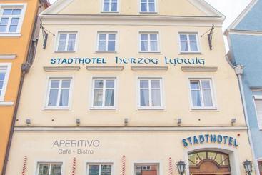 Stadthotel Herzog Ludwig - Landshut