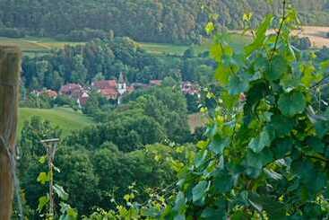Отель Landhaus Zum Falken