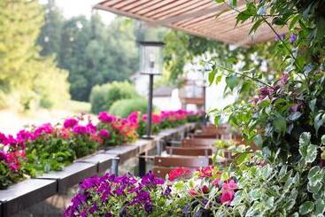 Pension Gasthof Huber
