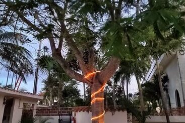 هتل Cabañas Puerto Morelos