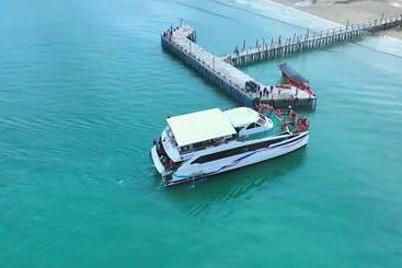هاستل Bodega Beach Resort