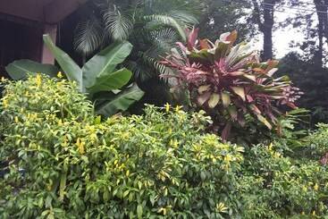 هتل Dream House Escazu