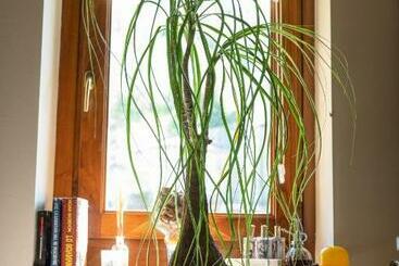 Cathedral Wellness Stay Sauna & Massage