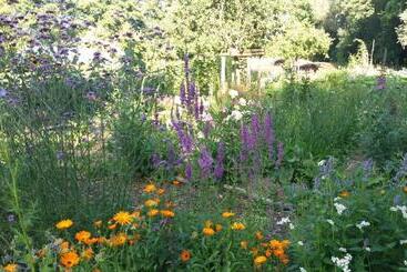 تختخواب و صبحانه De Geheime Tuin Huisje In T Groen