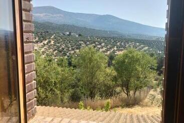 تختخواب و صبحانه Casa El Castano