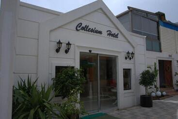 تختخواب و صبحانه Collesium Garden