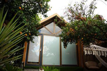 تختخواب و صبحانه Collesium Garden