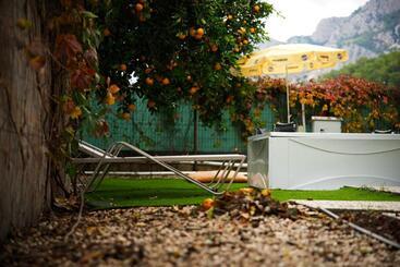 تختخواب و صبحانه Collesium Garden