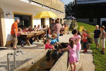 Exenbacher Hof Traumbauernhaus S´haisl
