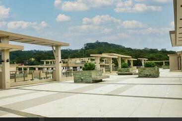 Bts Dmci Bristle Ridge