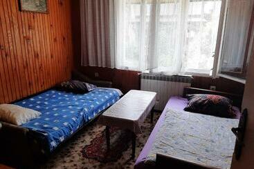 Rahmanovic Apartman Pazaric