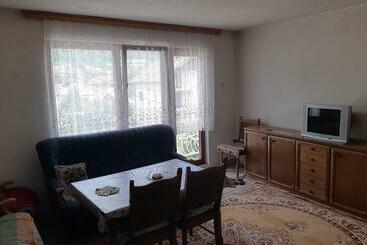 Rahmanovic Apartman Pazaric