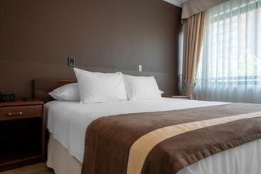 Apart Hotel Elite Las Condes