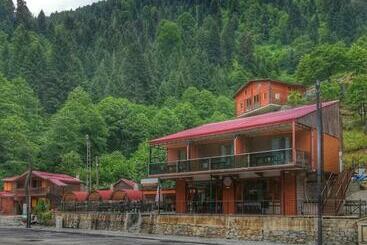 تختخواب و صبحانه Ayder Doruk Otel