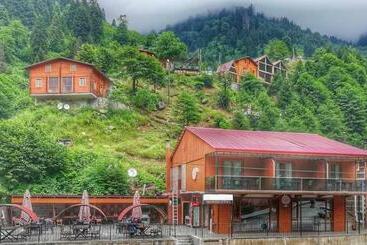 تختخواب و صبحانه Ayder Doruk Otel