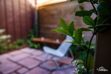 ホテル Logis Hôtel Altitude Et Spa Pierre Percée
