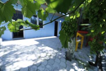 پانسیون Lilia Guesthouse