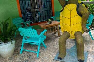 پانسیون Hostal Tortuga Viajera
