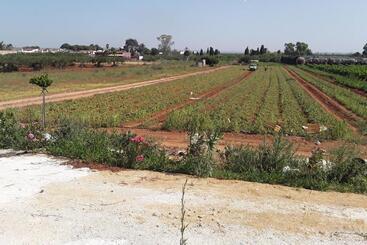 پانسیون La Campagnola