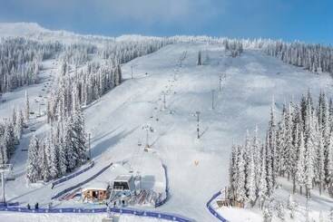 Towering Pines Chalet Comfortable And Cozy Chalet With Spectacular Views
