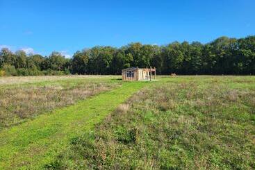 Hoeve Twente   Oeverzwaluw