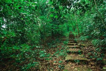 هتل Canzi Cataratas
