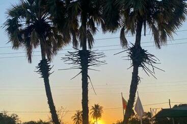 هتل Tete Palm
