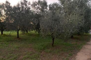 پانسیون Casa Nel Verde Orbetello