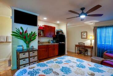 Sp119b   Adorable, Affordable Studio, With Pool And Hot Tub, New Bed!