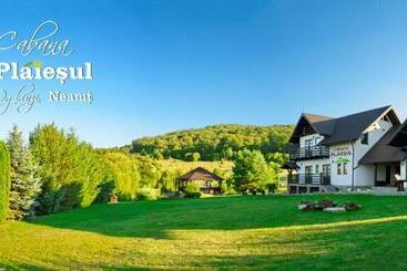 游客公寓 Cabana Plăieșul
