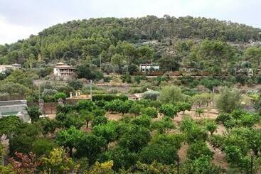 Finca Puig De Ses Llebres