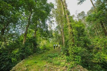 Wow Bison Woods Organic Veg Resort Yercaud