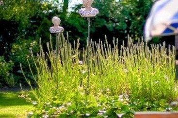 Golf & Landhotel Am Alten Deich
