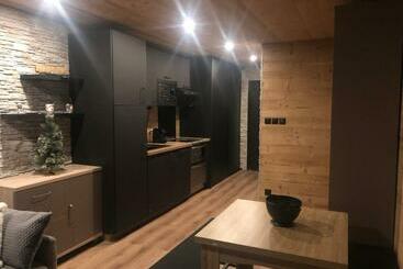 ツーリストアパートメント Les Deux Alpes : Superbe Appartement Tout équipé