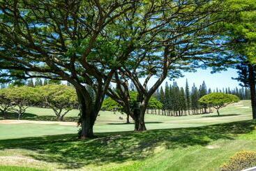 Kbm Resorts: Kapalua Golf Villa Kgv 14p3 Beautiful Spacious Fairway Views Includes Rental Car