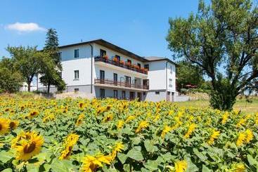 ベッドアンドブレックファースト Gasthof Pension Wein