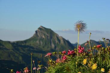 هتل Garni Alpina