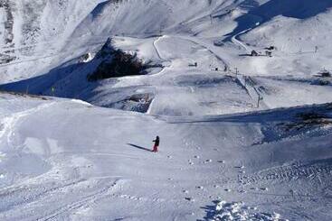 Les Marmottes Du Sancy