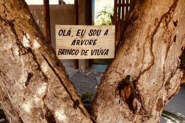 Bororo Vida Vilinha Eco Boutique Milagres, Praia De Tatuamunha