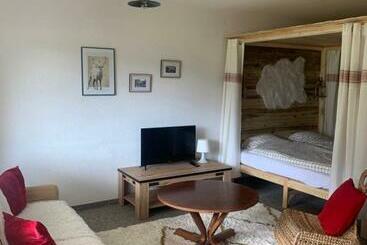 Appartement 1,5 Pièce
