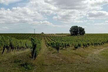 Maisonnette Neuve Monbazillac