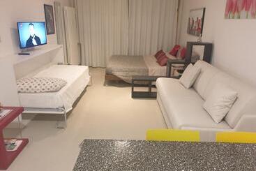 Monolocale Via Rasponi